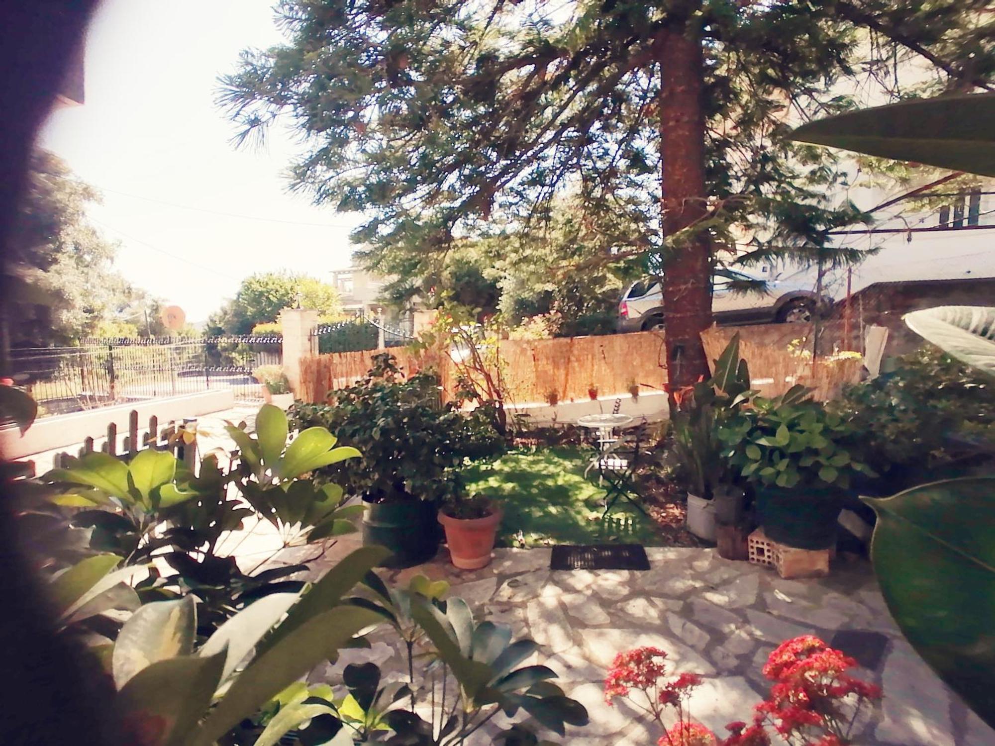 Olga'S Cozy Nest , Apartment In Ano Korakiana. Bagian luar foto